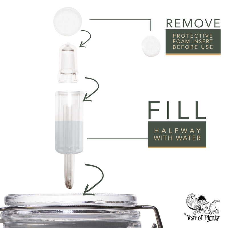 Airlocks | 6-Pack | Wholesale